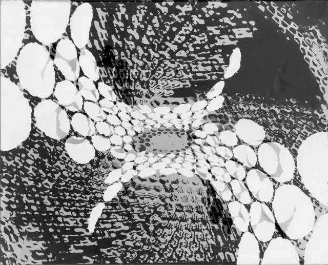 C4 · No. 14