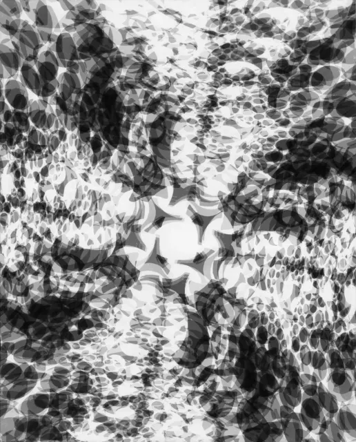 A3 · No. 19