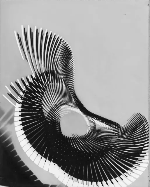 D3 · No. 37