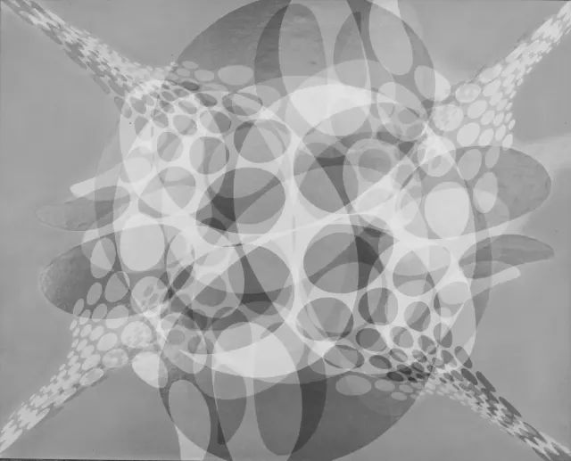 C6 b/w · No. 43